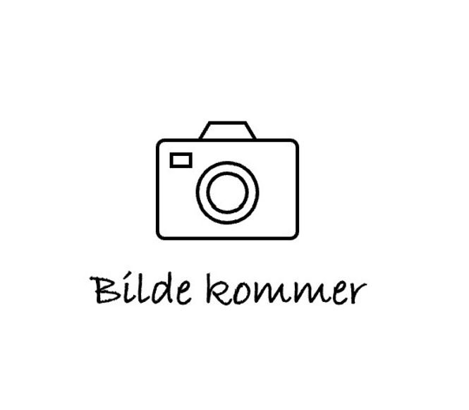 Hovedbilde Trollnyperose 'Eplgli'  Busk-