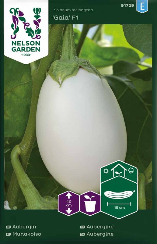 Aubergine, 'Gaia' F1