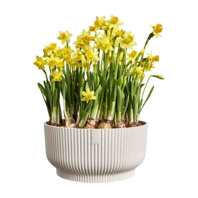 Hovedbilde Vibes planteskål, naturhvit