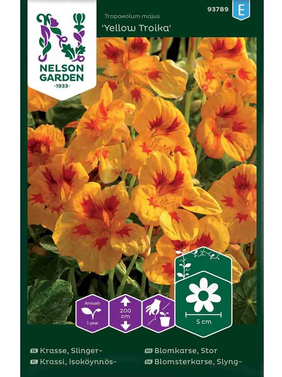 Blomkarse Stor, 'Yellow Troika'