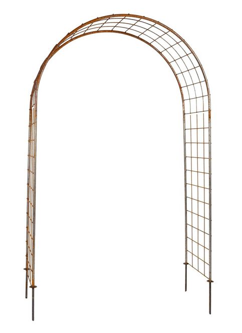 Hovedbilde Rosebue