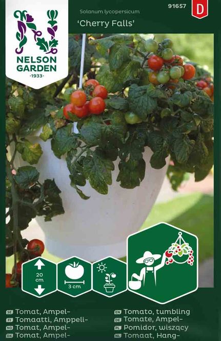 Hovedbilde Cherrytomat 'Cherry Falls'