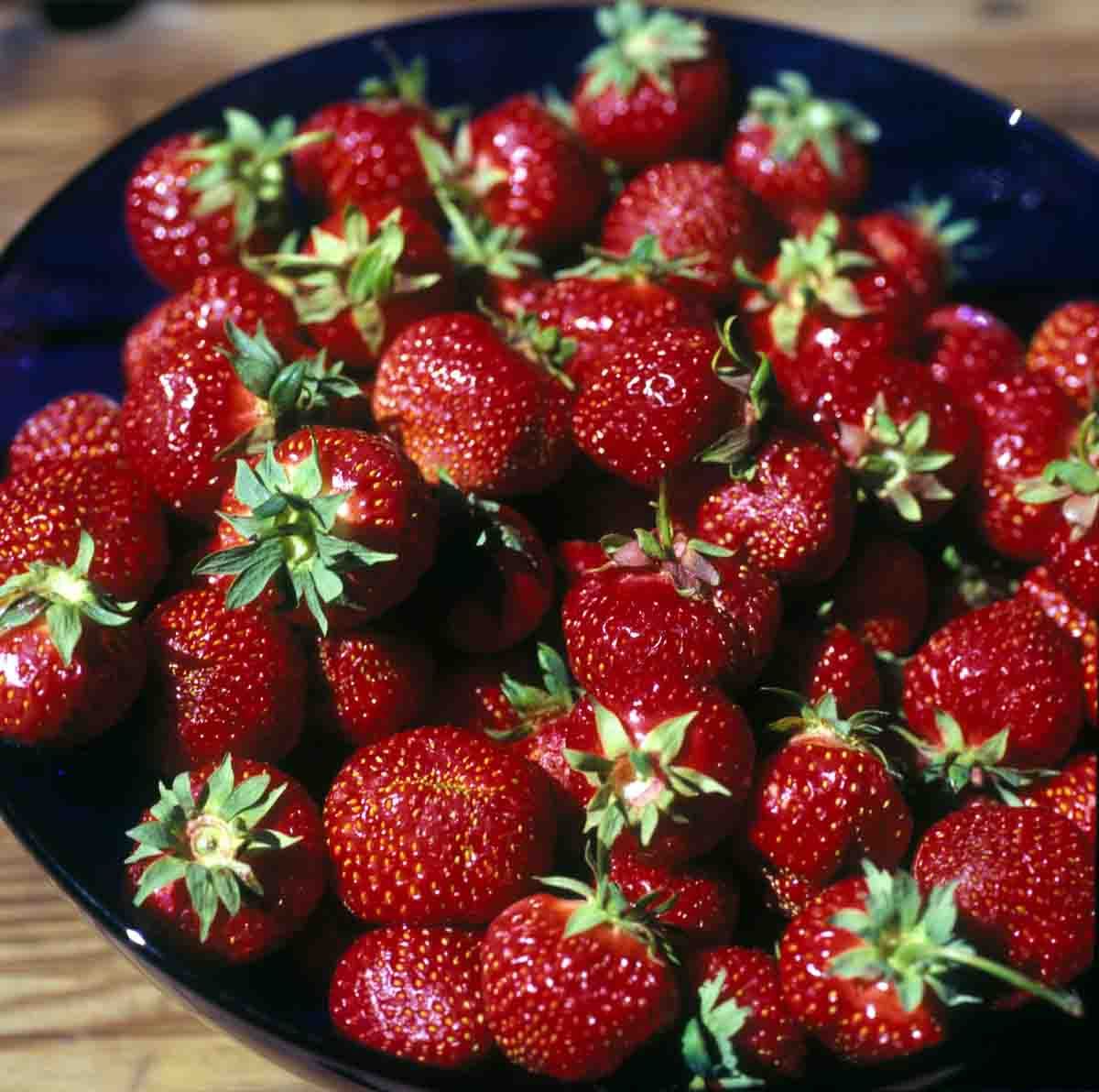 Markjordbær villE®