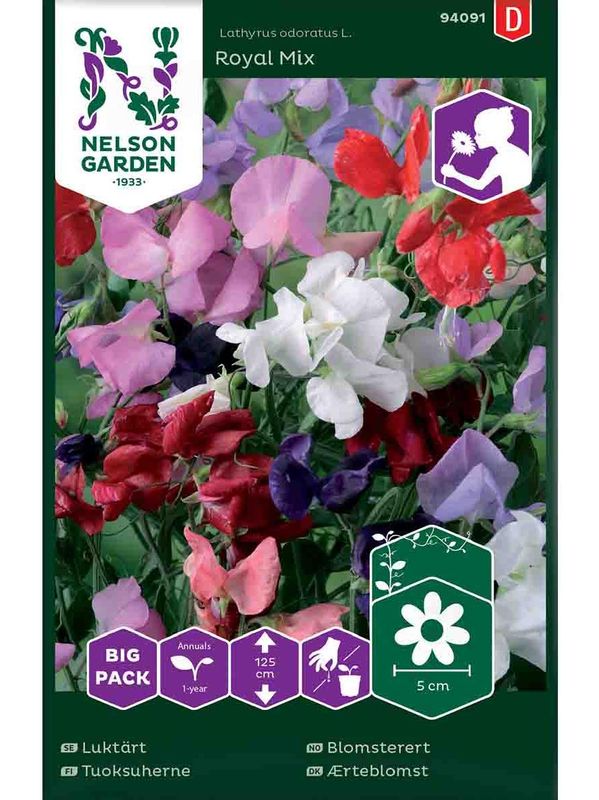 Blomsterert 'Royal' blandede farger, stor pakke