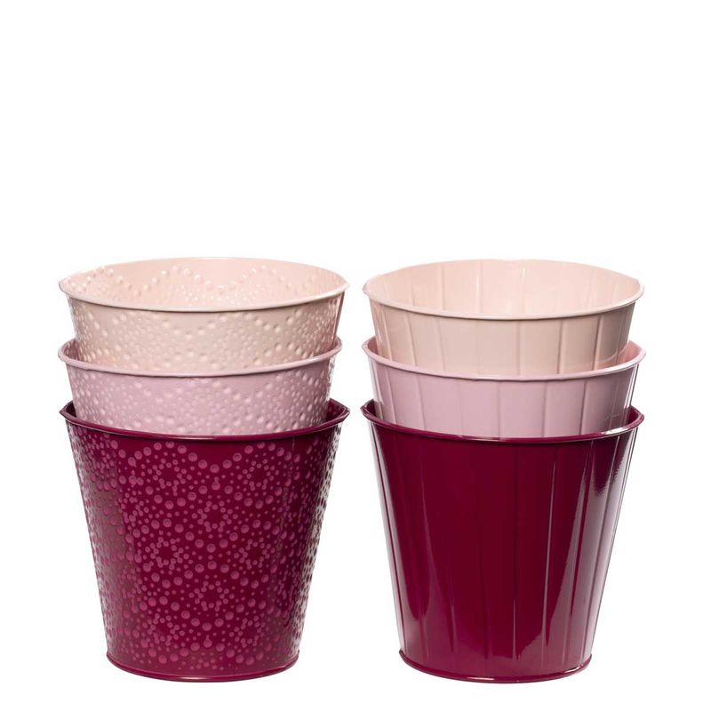 Tollas potte, assortert rosa