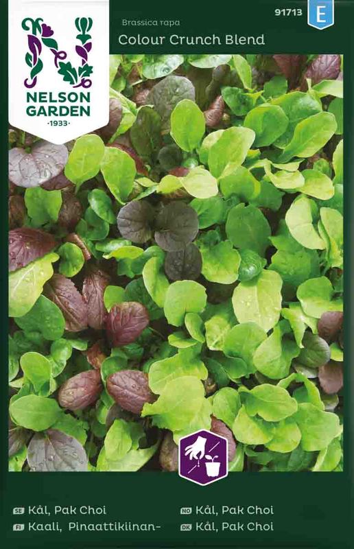 Pak Choi kål 'Colour Crush blend' Mix