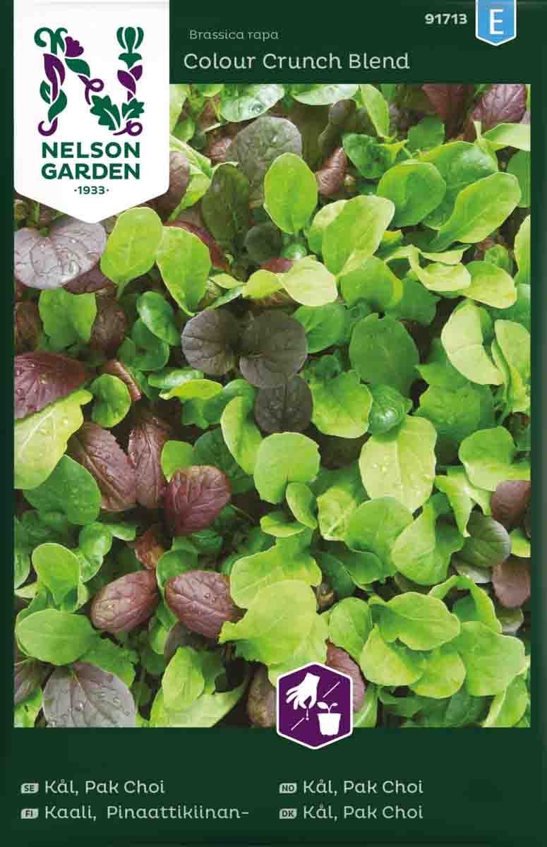 Pak Choi kål 'Colour Crush blend' Mix
