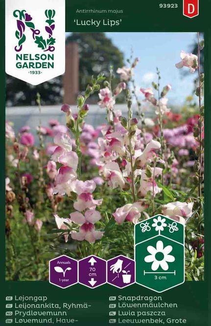 Hovedbilde Prydløvemunn 'Lucky Lips'