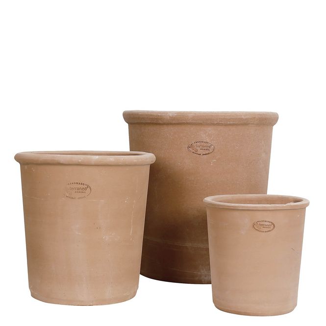 Hovedbilde Terraneo Stella