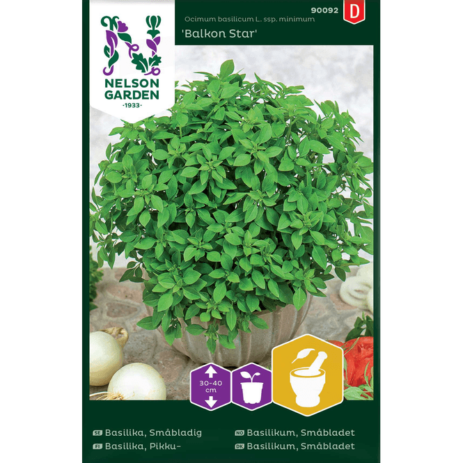 Hovedbilde Basilikum 'Balkon Star', småbladet
