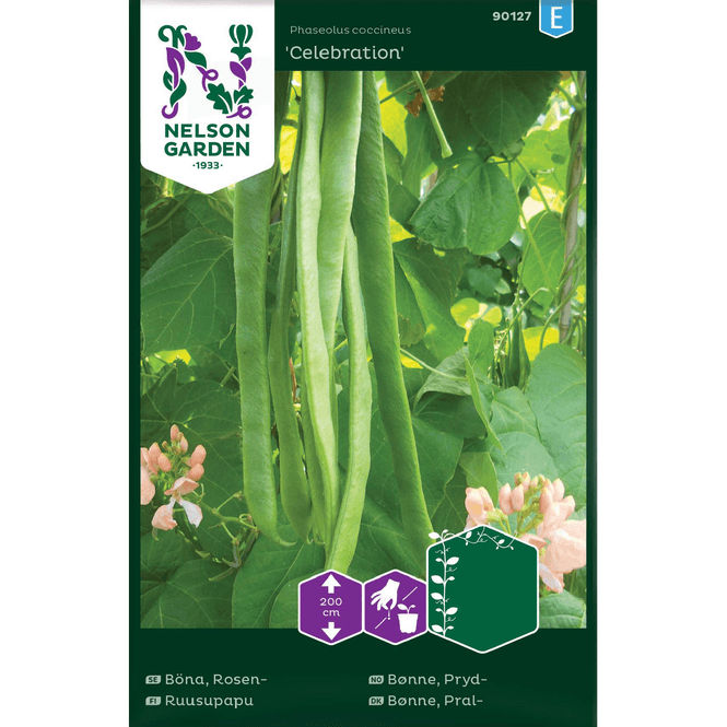 Hovedbilde Pryd-bønne 'Celebration'