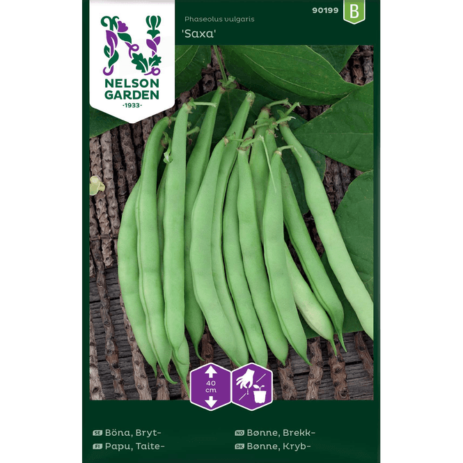 Hovedbilde Brekk-bønne 'Saxa', lav