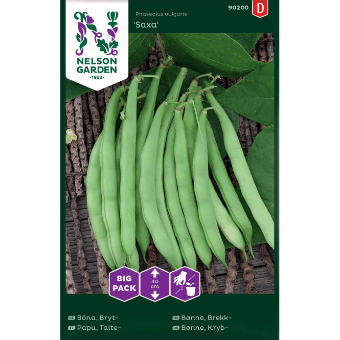 Hovedbilde Brekk-bønne 'Saxa', lav - stor pakke