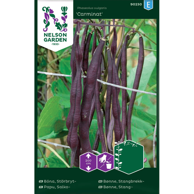 Hovedbilde Stangbrekk-bønne 'Carminat'