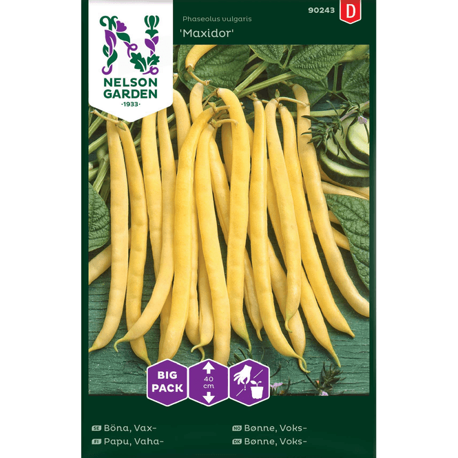 Hovedbilde Voks-bønne 'Maxidor', lav - stor pakke