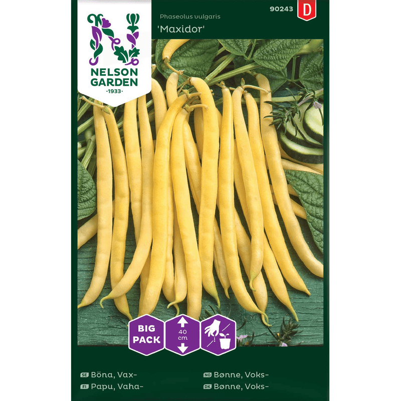 Voks-bønne 'Maxidor', lav - stor pakke