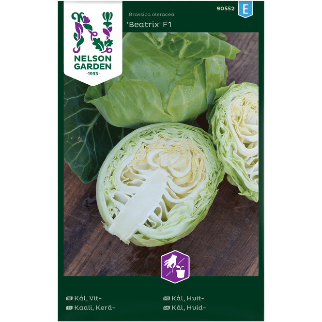 Hovedbilde Hvitkål 'Beatrix' F1