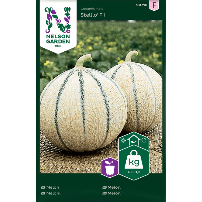 Hovedbilde Melon 'Stellio' F1