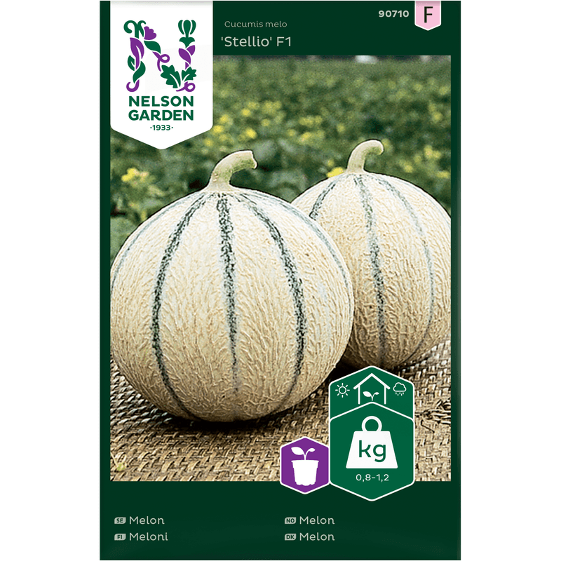 Melon 'Stellio' F1