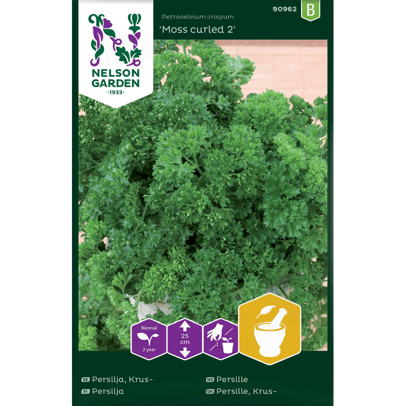Kruspersille 'Moss Curled 2'