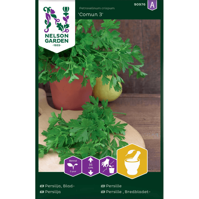 Hovedbilde Persille 'Comun 3' glattbladet