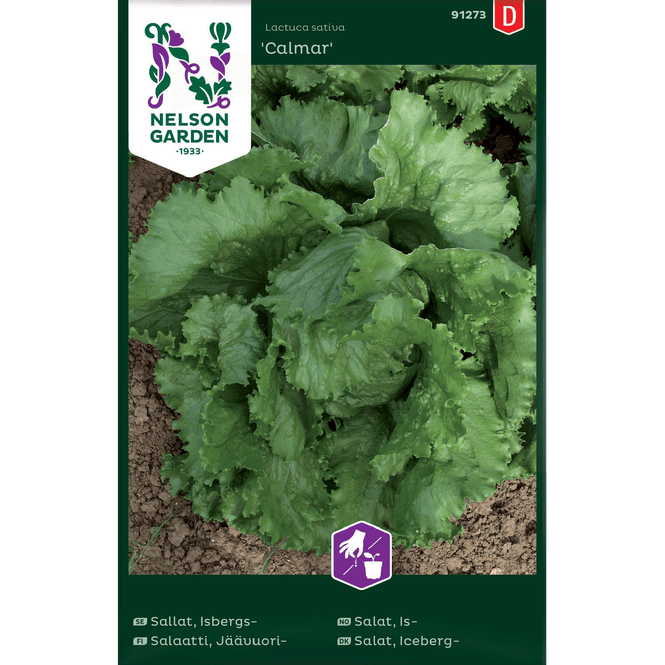 Hovedbilde Issalat 'Calmar'