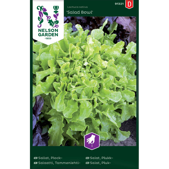 Hovedbilde Plukksalat 'Salad Bowl'