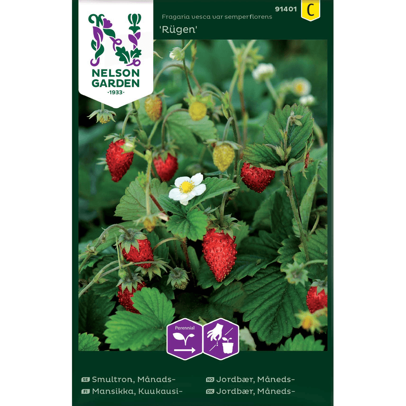 Måneds-jordbær 'Rügen'