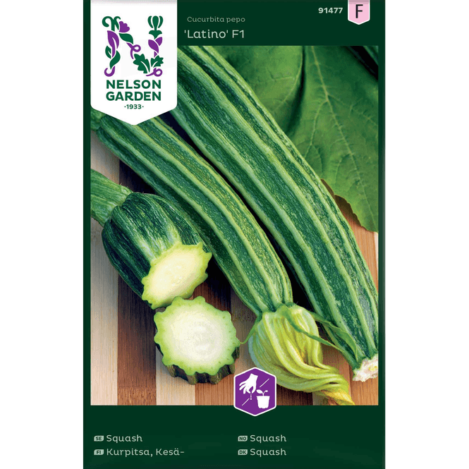 Hovedbilde Squash 'Latino' F1