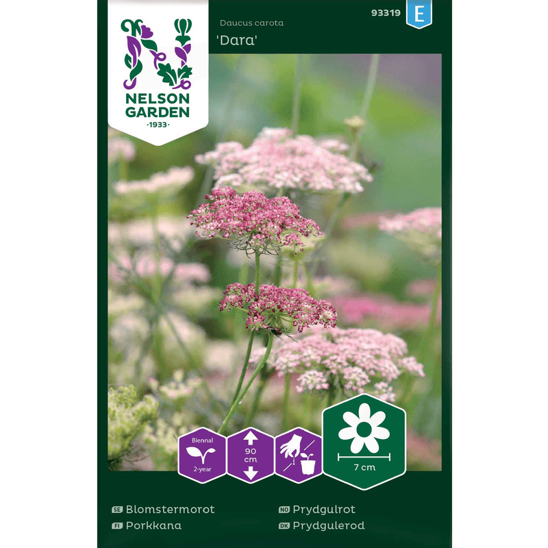 Prydgulrot  'Dara'