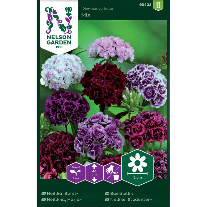 Hovedbilde Busknellik 'Mixed Double' blandede farger