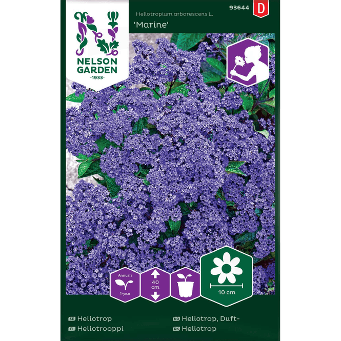 Hovedbilde Duftheliotrop 'Marine' marineblå