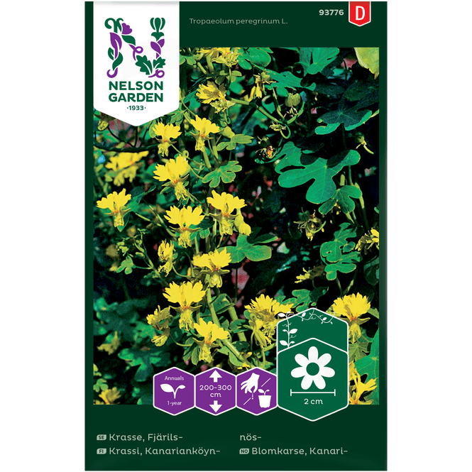 Hovedbilde Kanari-blomkarse, gul