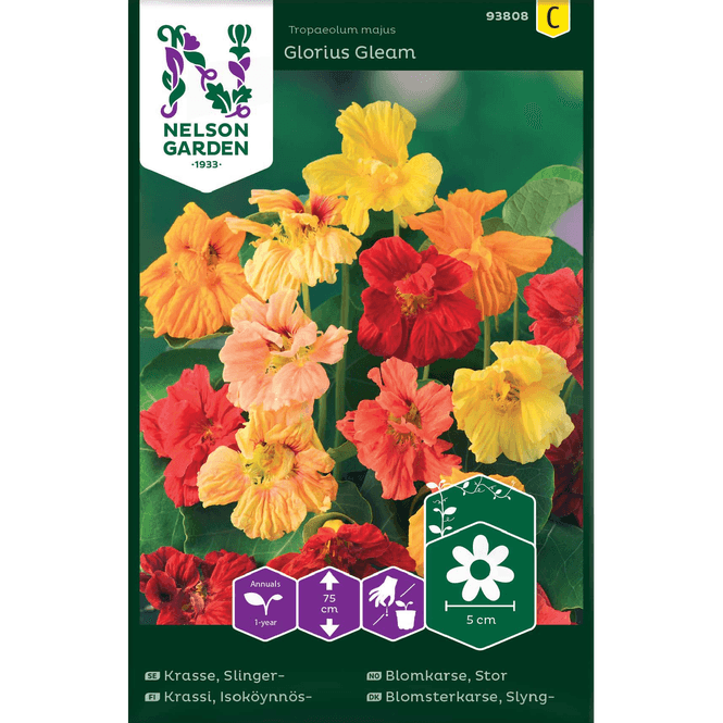 Hovedbilde Blomkarse Stor, 'Glorius Gleam'