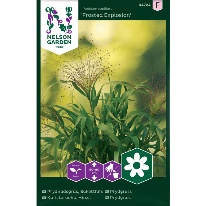 Hovedbilde Prydgress 'Frosted Explosion'