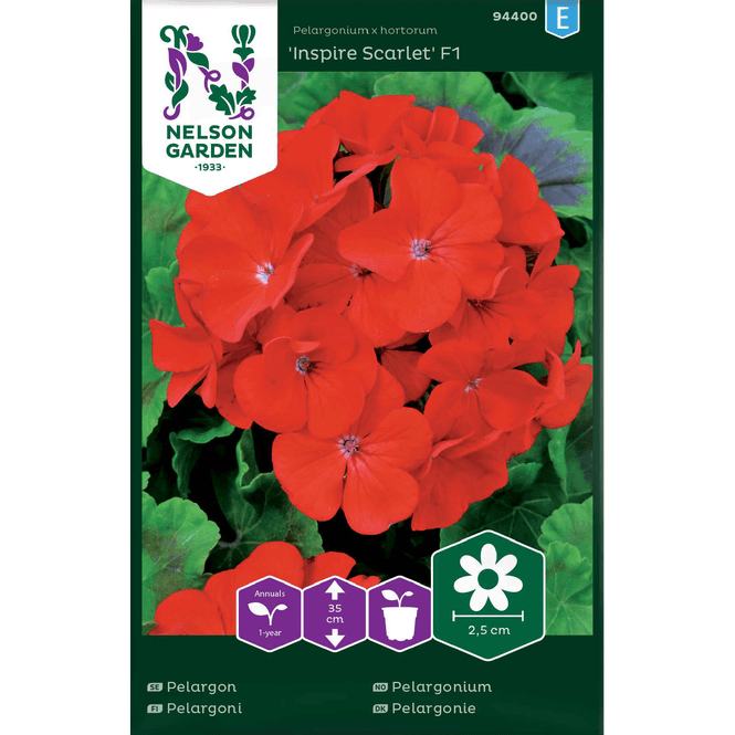 Hovedbilde Pelargonium 'Inspire Scarlet' F1 rød