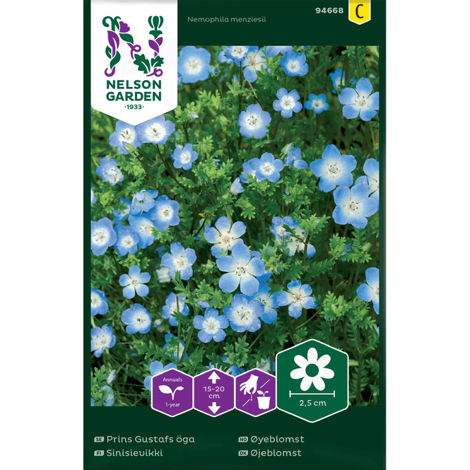 Hovedbilde Øyeblomst blå