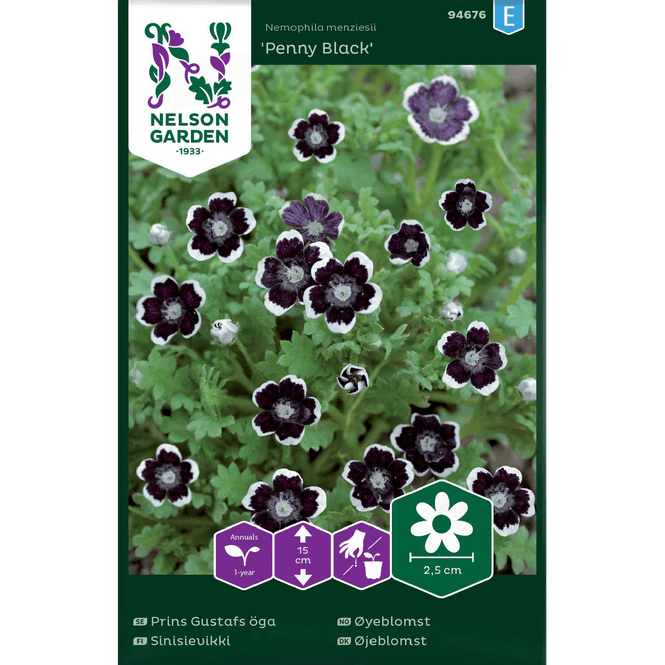 Hovedbilde Øyeblomst 'Penny Black'