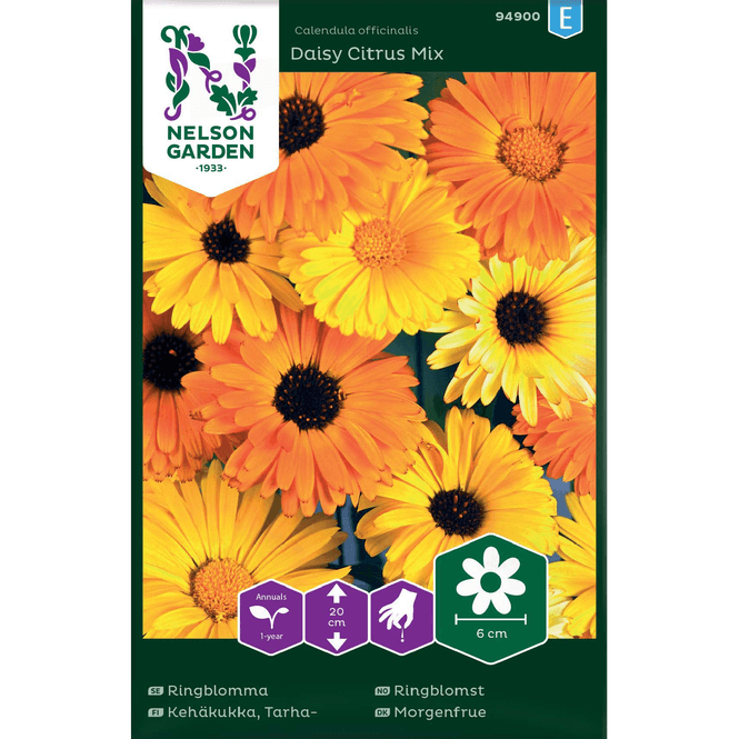 Hovedbilde Ringblomst 'Daisy Citrus' Mix