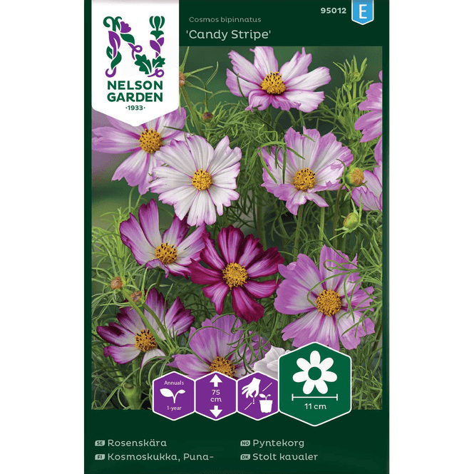 Hovedbilde Pyntekorg 'Candy Stripe'