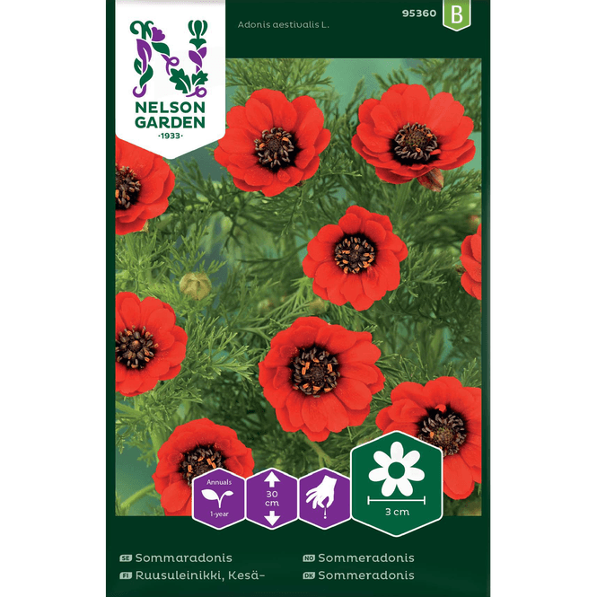 Hovedbilde Sommeradonis  rød