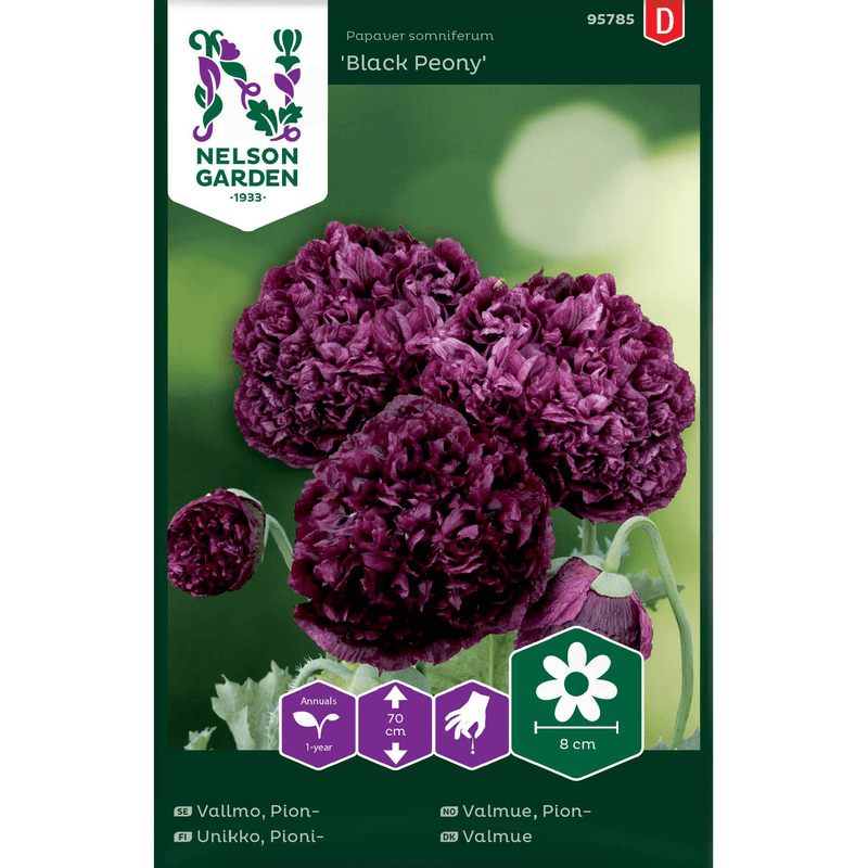 Pionvalmue 'Black Peony'