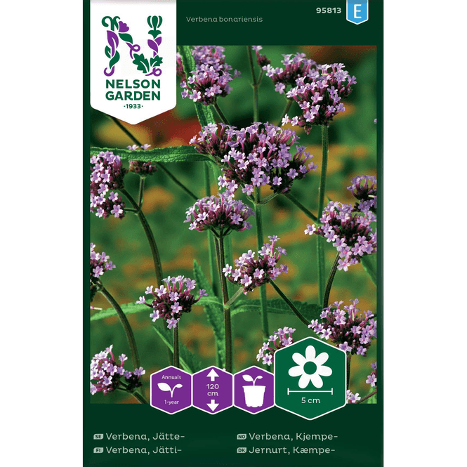 Hovedbilde Kjempeverbena