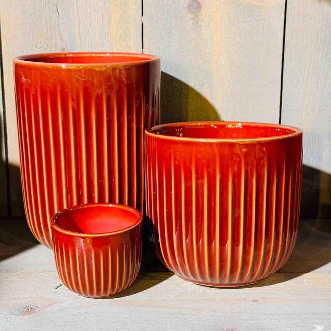 Hovedbilde Coleen, rød