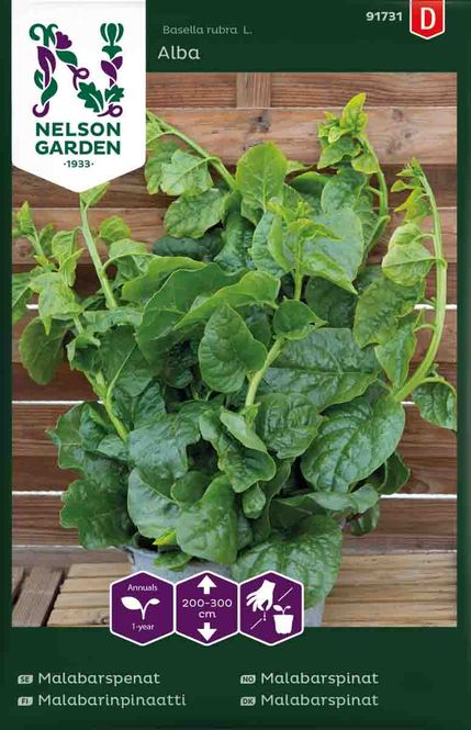 Hovedbilde Malabarspinat 'Alba' hvit